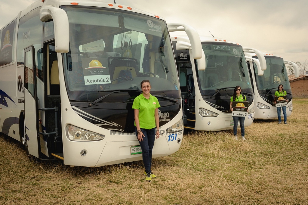 mex16kis